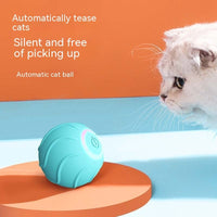 Smart Cat Toys Rolling Ball